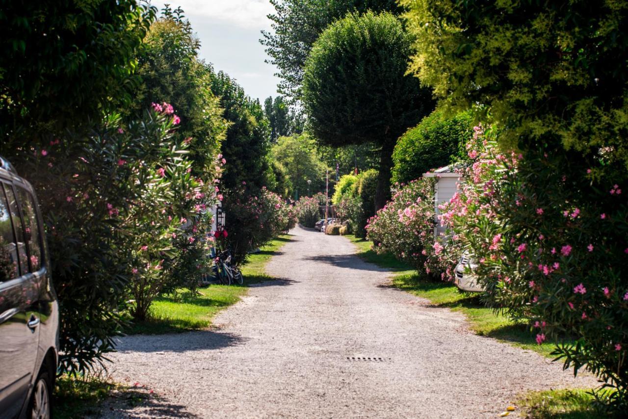 Albatross Mobile Homes On Camping Baia Verde Manerba del Garda Εξωτερικό φωτογραφία